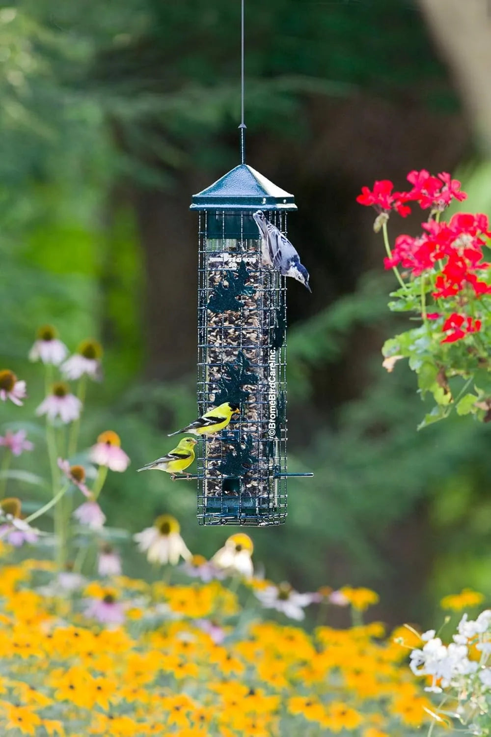 Squirrel Solution200 Squirrel-proof Bird Feeder, 6 Feeding Ports, 3.4 lb Seed Capacity, Free Seed Funnel